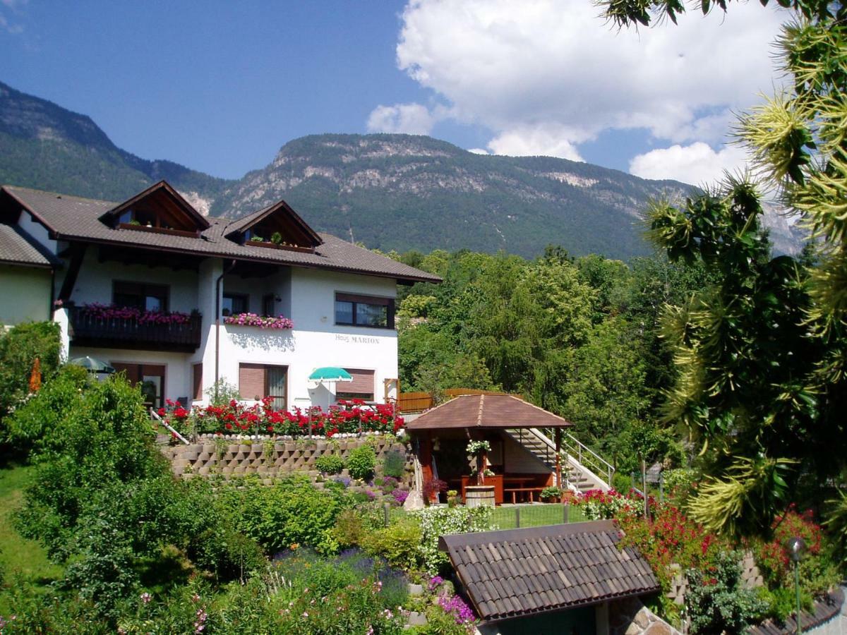 Haus Marion Apartment Appiano Sulla Strada Del Vino Luaran gambar